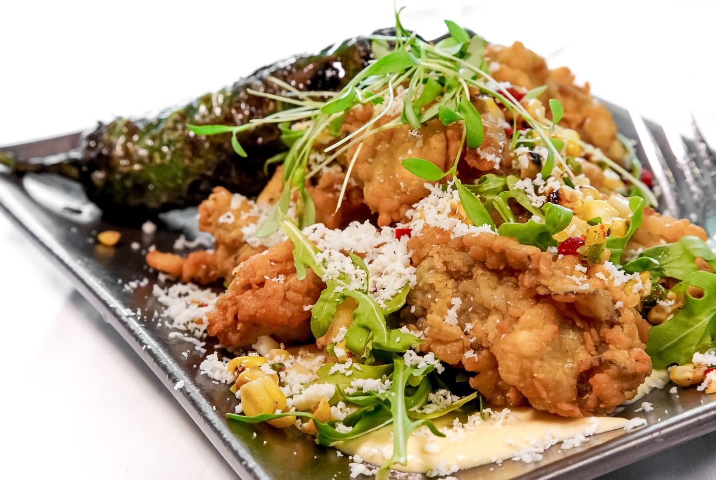 Things To Do Surfing Deer